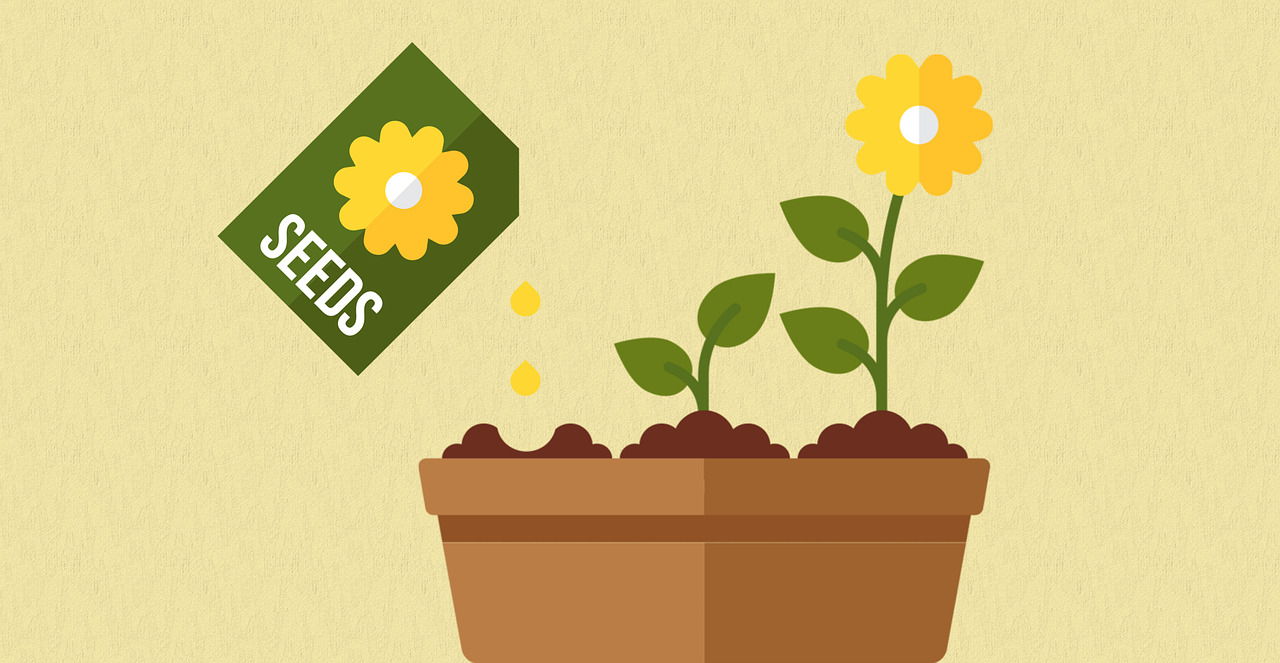 illustration of flower pot with seed packet